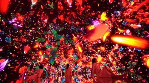 TeamLab Planets TOKYO