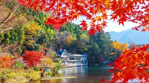 Kyushu Autumn Leaves Tour