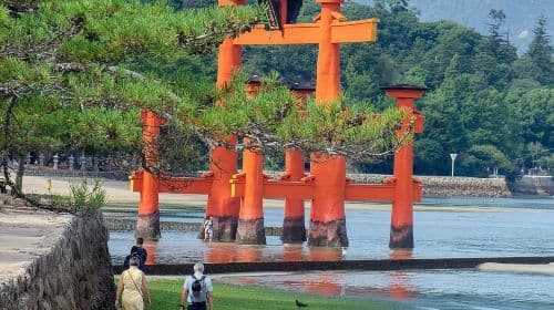 Hiroshima and Miyajima Private Guided Tour Day Tours