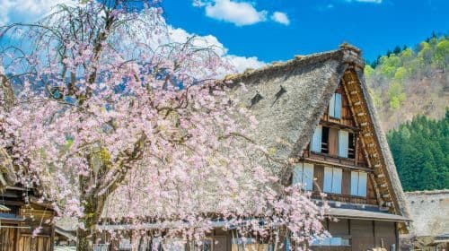 Historisch Takayama & Gassho Village Dagtour Dagtochten