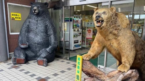 Hokkaido Natural Beauty 1-day Tour: Lake Tōya + Showa-shinzan + Noboribetsu Bear Park