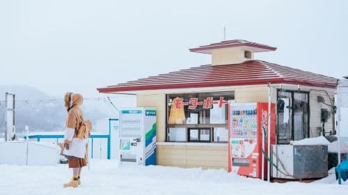 Hokkaido Lake Tōya and Noboribetsu Jigokudani Valley 1-day tour, with optional snowmobile experience at Lake Tōya for an additional fee Day Tours