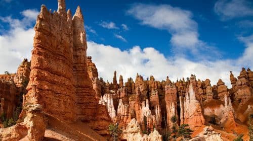 Bryce Canyon National Park & Zion National Park 1-day tour with lunch from Las Vegas