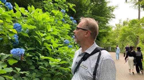 Private Custom Tour: Kyoto in One Day Day Tours