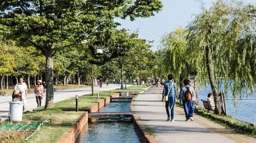 Private Fukuoka One Day Tour with a Local