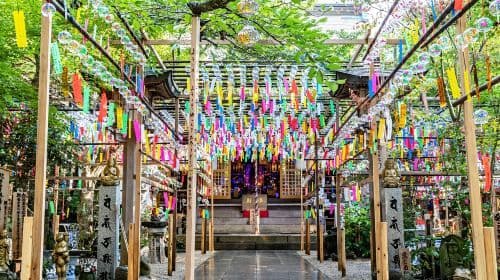 Japan Fukuoka Nyoirin-ji Temple on Qingying Mountain, Mount Yufu Trailhead, Yufuin, and Beppu Hells One-Day Tour Day Tours
