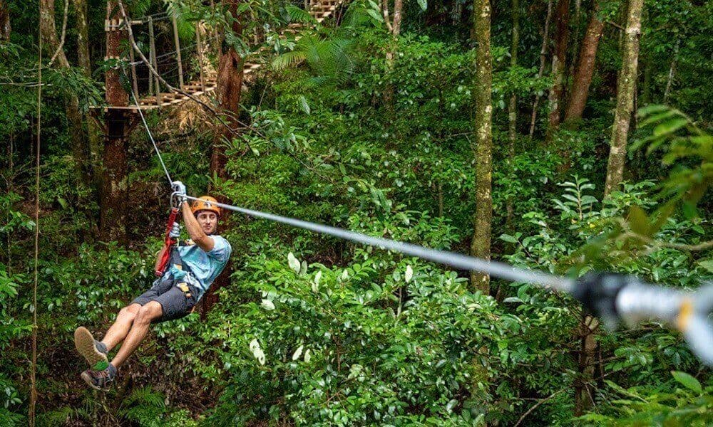 Cape Tribulation Zipline Canopy Tour - 2 uur