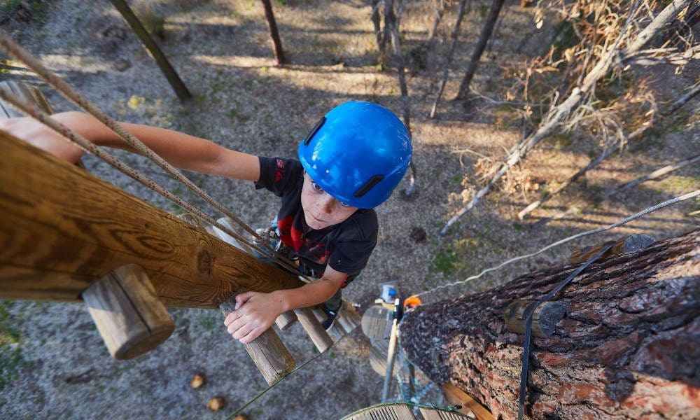 Forest Adventures High Ropes Course and West Park Entry