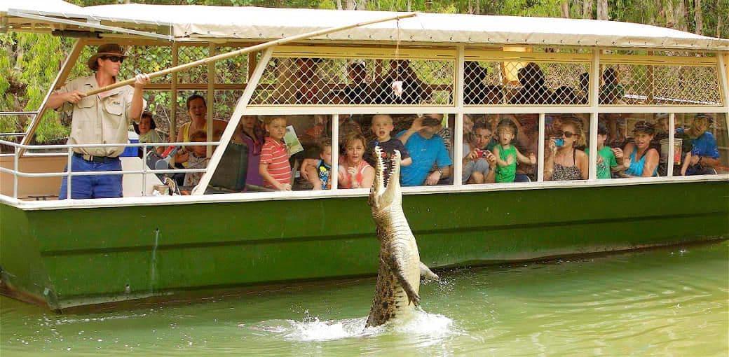 Hartleys Crocodile Adventures Algemene Toegang