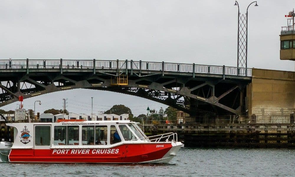 Port River Dolphin Cruise - 90 Minutes