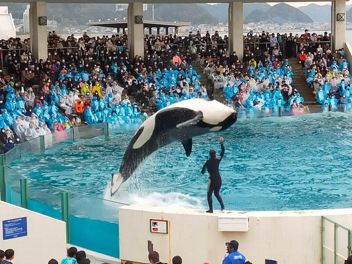Kamogawa Seaworld
