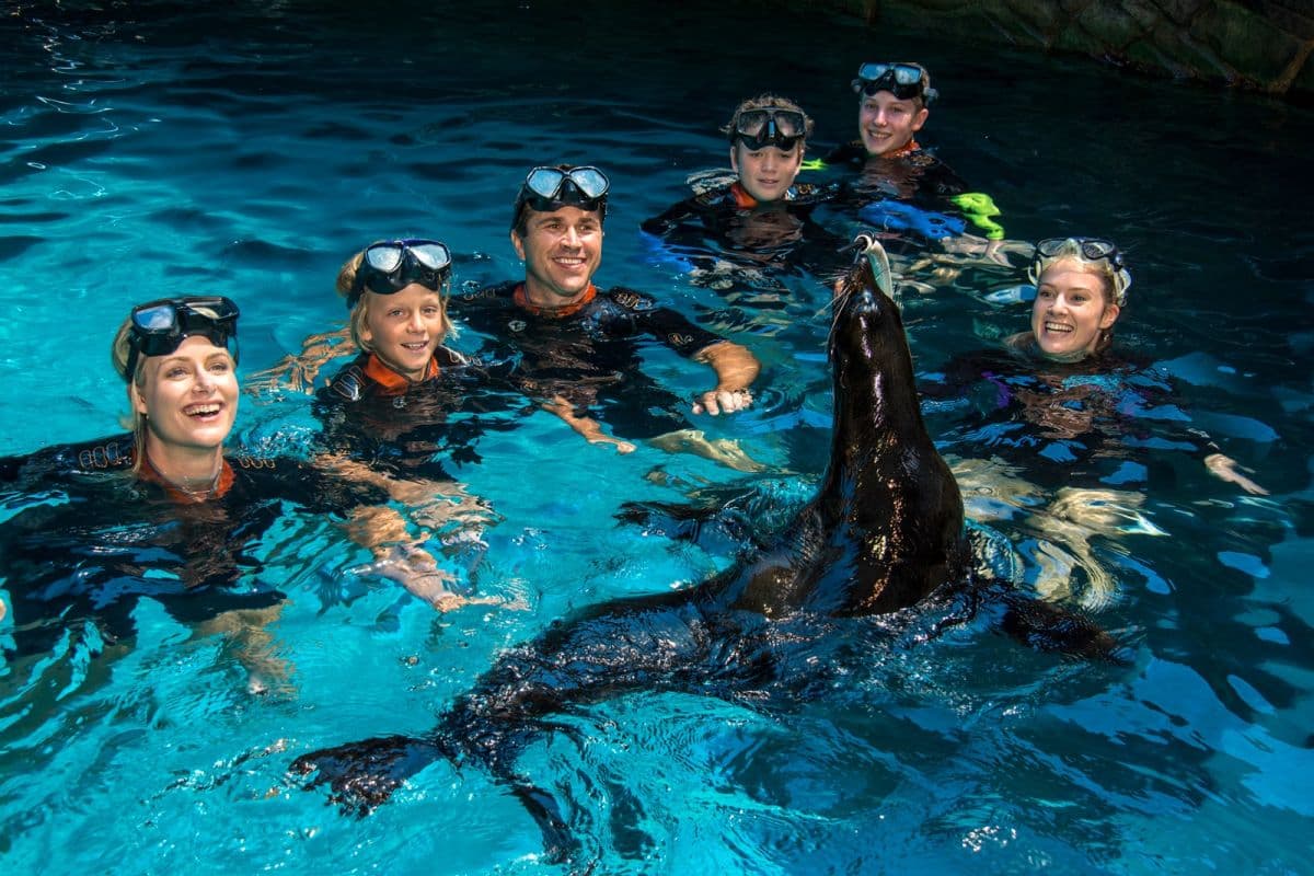 SEA LIFE Sunshine Coast