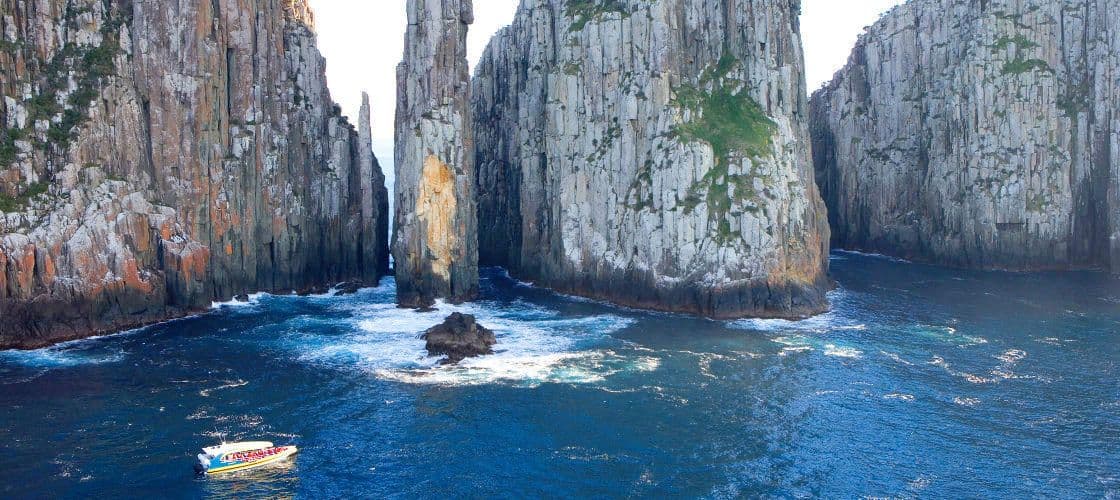 Crucero por Tasman Island: Excursión de un día desde Hobart