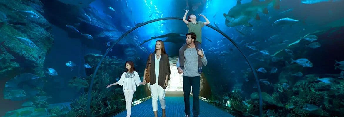 Dubai Aquarium And Underwater Zoo