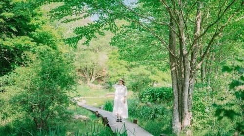 Kobe: Rokko Forest Sound Museum 入場チケット 日帰りツアー