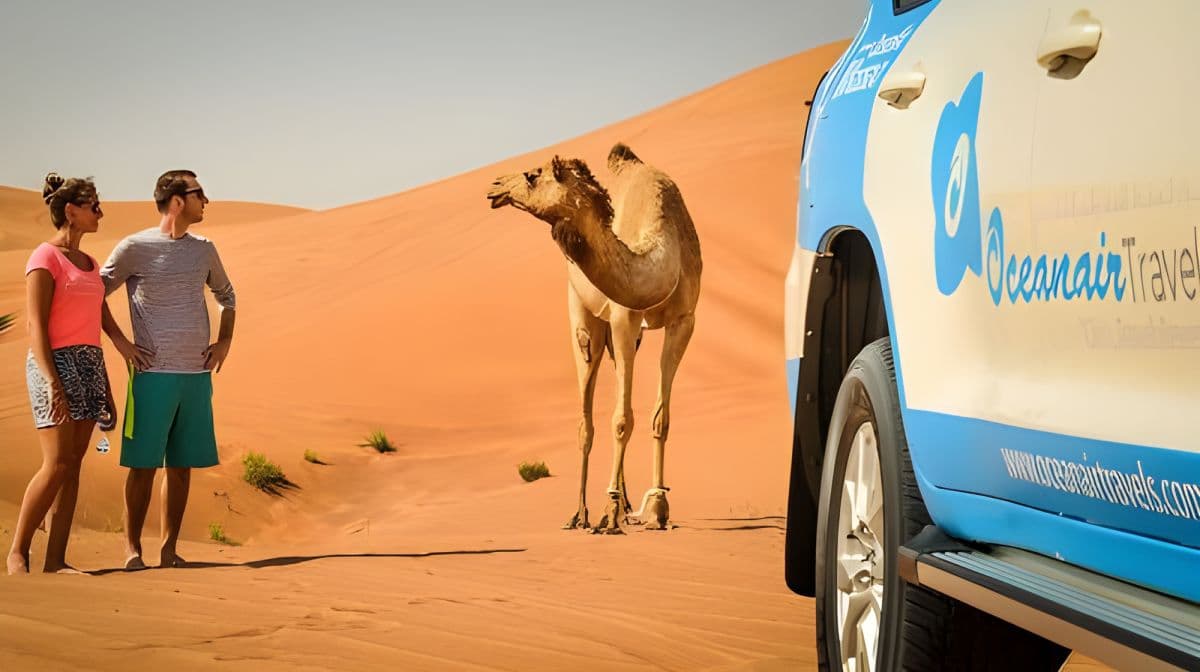 Dubaï : Safari dans le désert d'une demi-journée, chameaux, quad et rafraîchissements