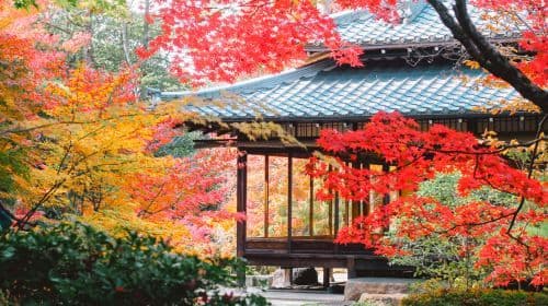 Kyoto herfstkleuren 1-daagse tour: Nanzen-ji Tempel + Nishiki Market + Gion + Nijō Castle lichtshow Dagtochten