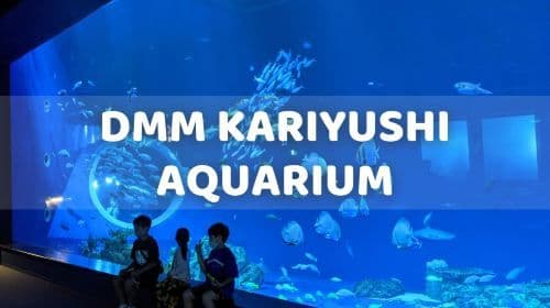 Okinawa FunPASS Churaumi Series: 美丽海水族馆 + 自选景点