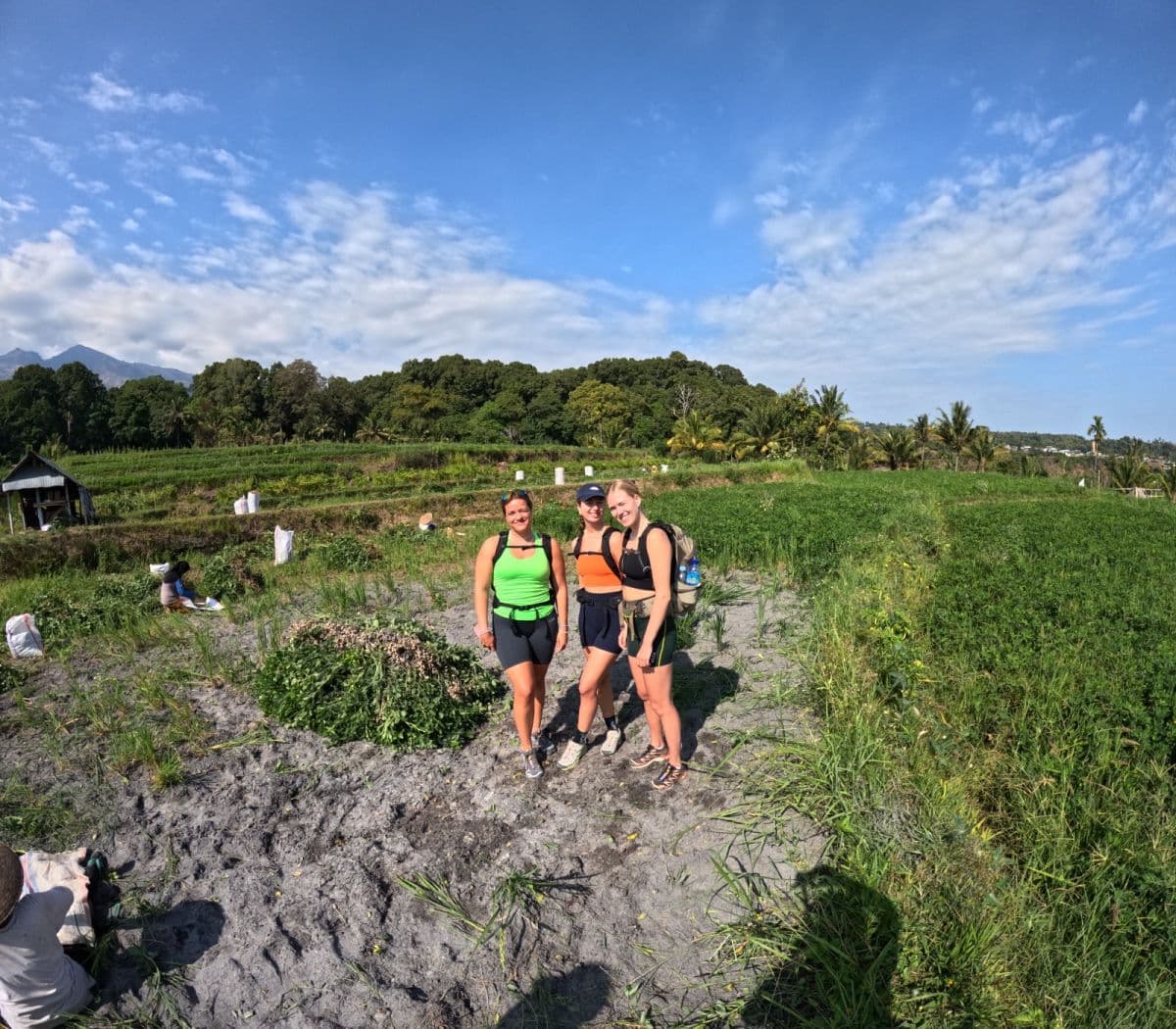 Lombok Panorama Walk & Waterfall Day Tour