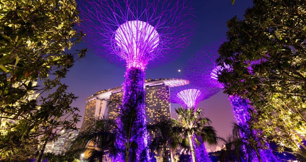 Singapore NightVee Ride: 1-Hour Night Sightseeing