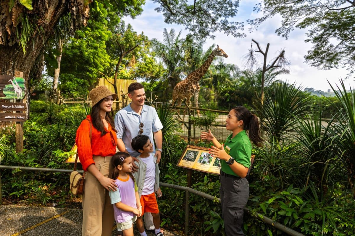 Glamping in the Wild: Reservoir Retreat at Mandai