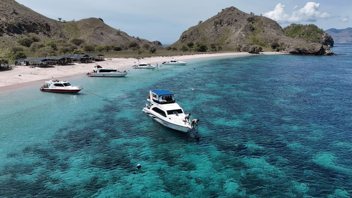Ganztägige Schnellboot-Tour im Komodo National Park