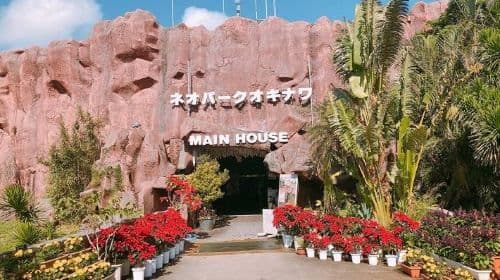Okinawa City Pass | Have Fun In Okinawa | Okinawa Enjoyment 1 Week Free Pass
