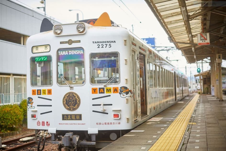 Eendaagse tour in Wakayama | Kishi Station + Nanki Shirahama Onsen + Toretore Market + Senjojiki + Sandanbeki | Osaka