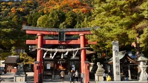 Jednodniowa wycieczka do punktu widokowego Shiga Biwako Observation Deck
