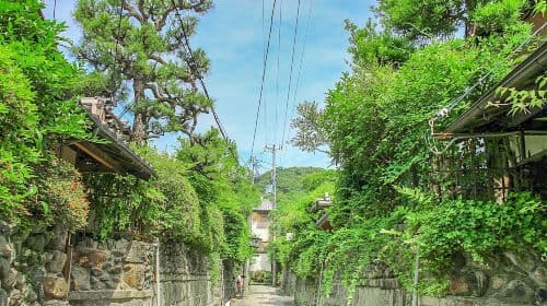 Osaka, Kioto i Nara, Japonia: jednodniowa wycieczka do świątyni Kiyomizu-dera, Parku Nara, dzielnicy Gion i chramu Fushimi Inari Taisha