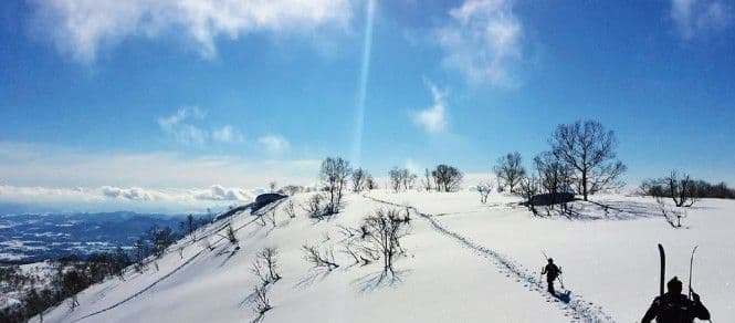 Rusutsu Ski/Snowboard Lessons (English)