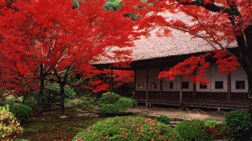 Saga, Kyushu autumn foliage tour - seasonal fall experience