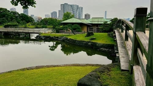 Tokyo Bay and Tsukiji Fish Market Day Tours