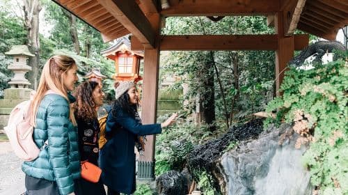 Tokyo Private & Personalized Half-Day Tour with a Local Guide Day Tours