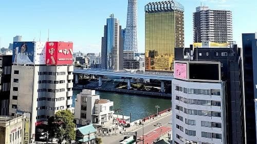 Tokyo Private Tour English Driver