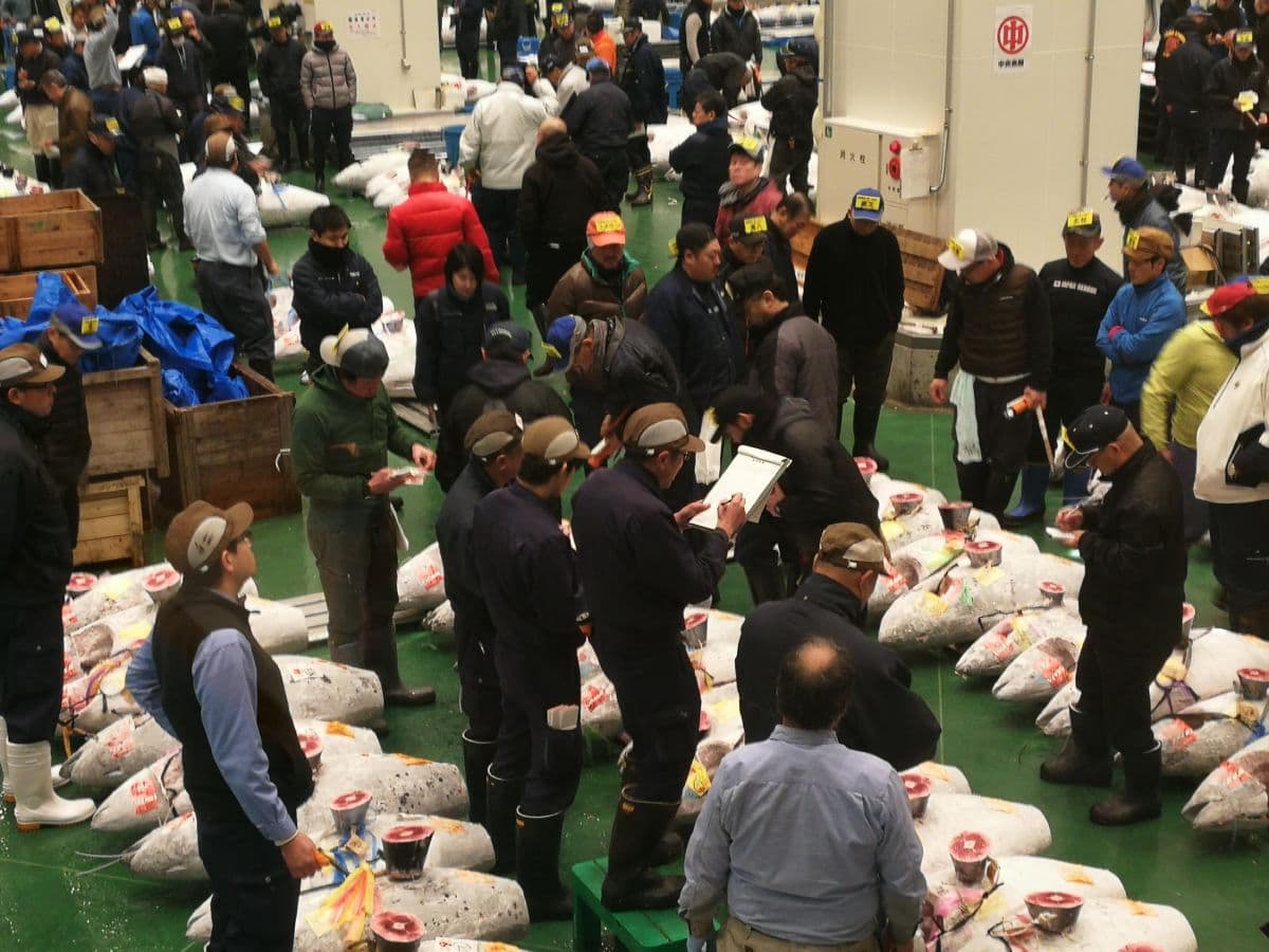 Tokyo: Complete Tuna Auction & Toyosu Fish Market Experience (4.5 hours / English)