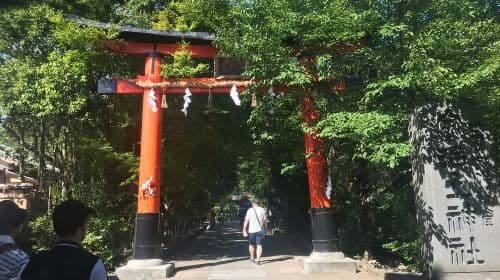 Uji: Prywatna wycieczka z zanurzeniem w kulturze herbaty i religii Kioto