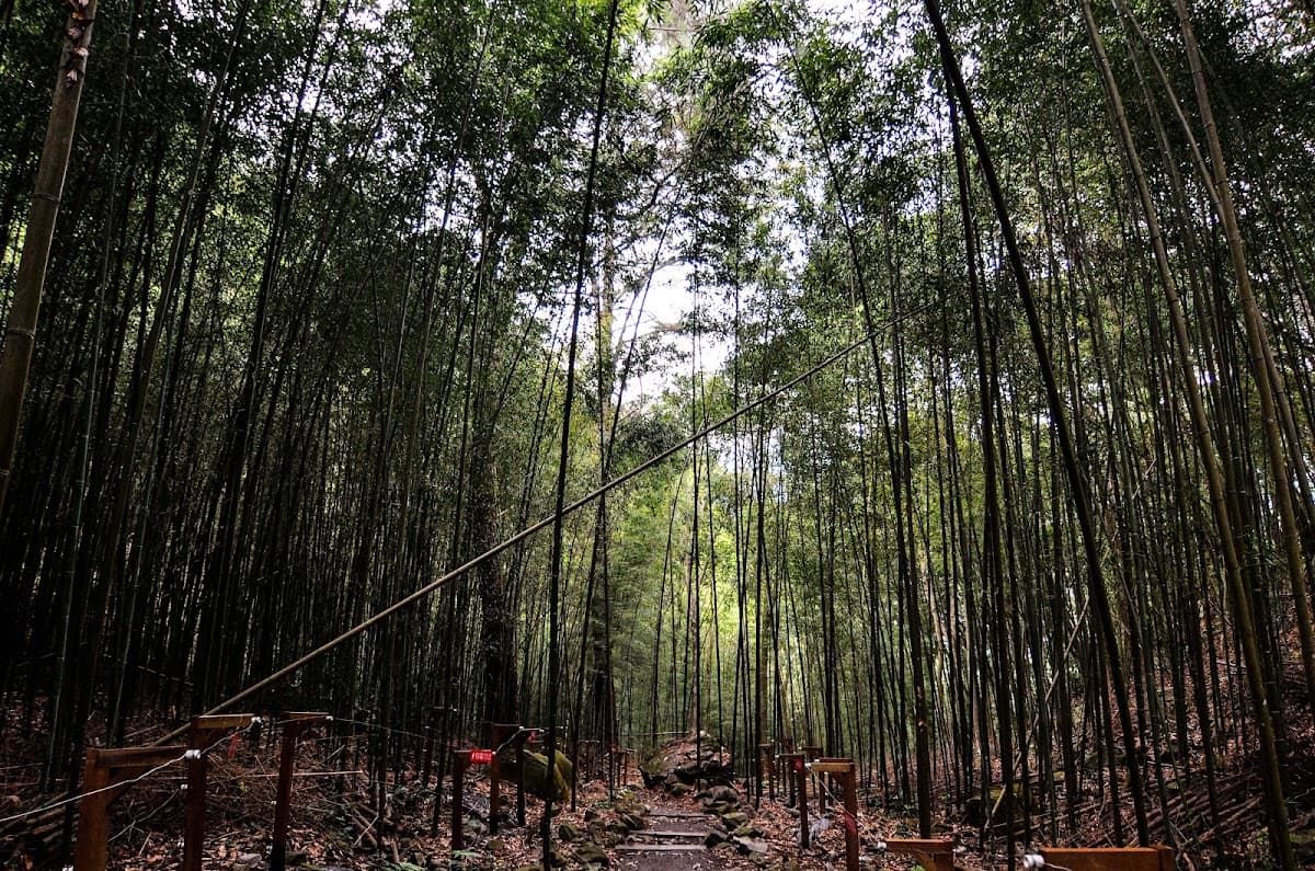 Basianshan National Forest Recreation Area