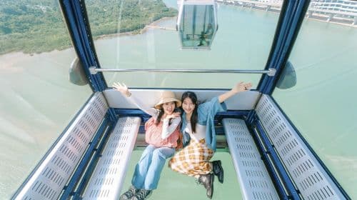 Hong Kong Ngong Ping 360 cable car ticket - standard cabin/Crystal Cabin/panoramic cabin Transport Passes