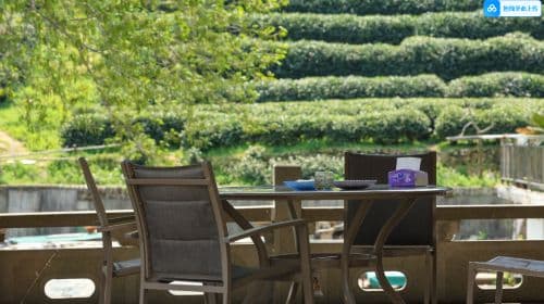 West Lake Scenic Area, Hangzhou|Longjing Village tea garden hike + tea picking and frying experience + tasting Shifeng Longjing tea