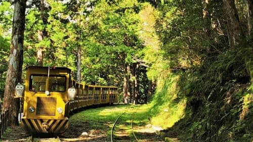 From Taipei: Taipingshan & Jiuzhize Hot Spring Private Tour Day Tours