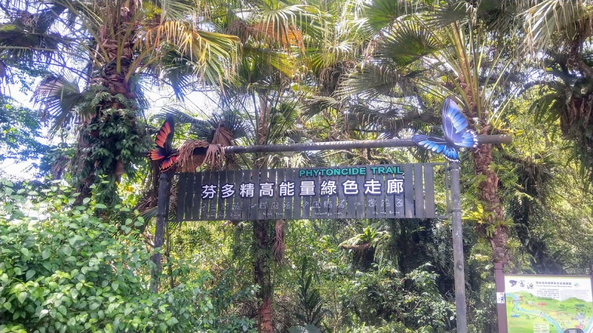 Fuyuan National Forest Recreation Area