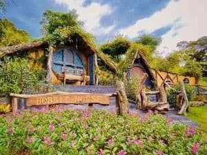 Green Fantasy Forest