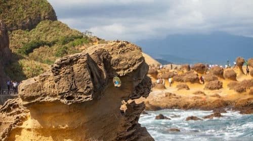 Half Day Private Tour to Yangmingshan National Park and Yehliu Geopark