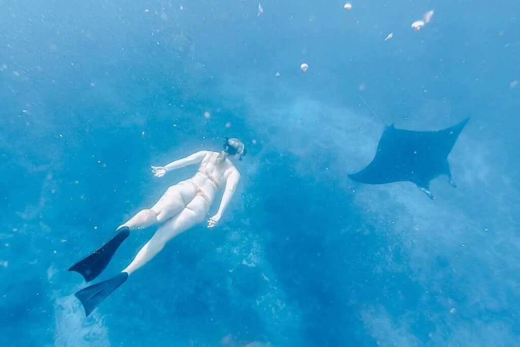 Labuan Bajo Komodo National Park Full-Day Big Group Tour