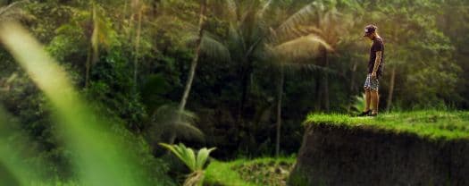 Mount Batukaru Bali Trekking by Alassari