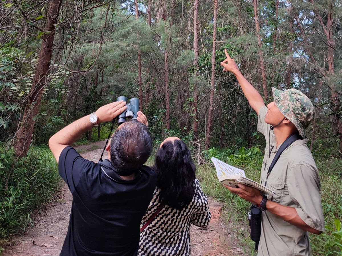 Birdwatching Experience in Desaru , Johor