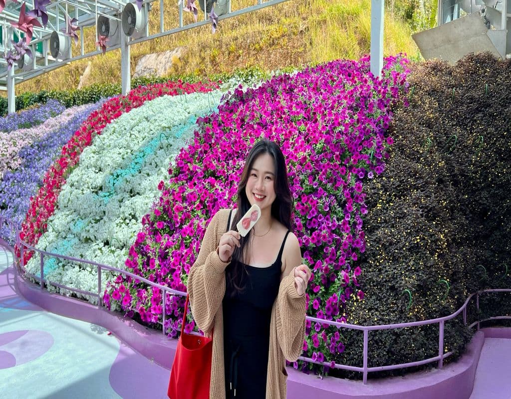 Cameron Highlands Day Tour from Kuala Lumpur with Lunch (Guided Tour)