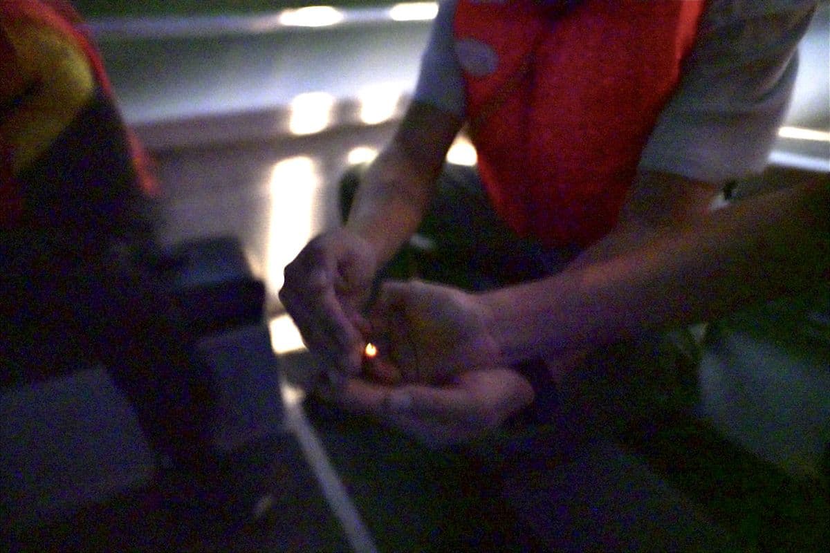 Fireflies Experience in Kuala Selangor