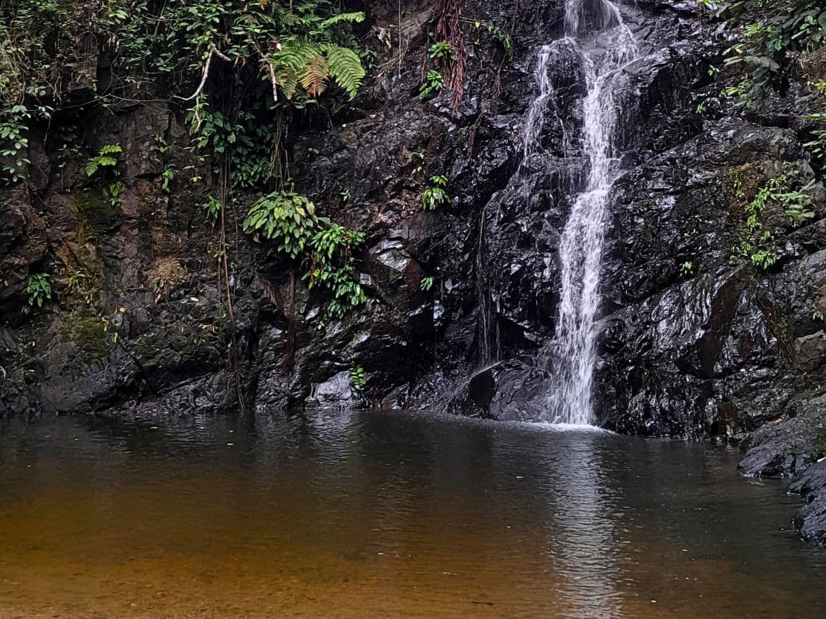 Passeio de Bicicleta pelo Interior de Langkawi com a JungleWalla - Sessão da Tarde